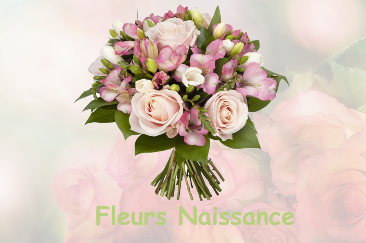 fleurs naissance BAROU-EN-AUGE